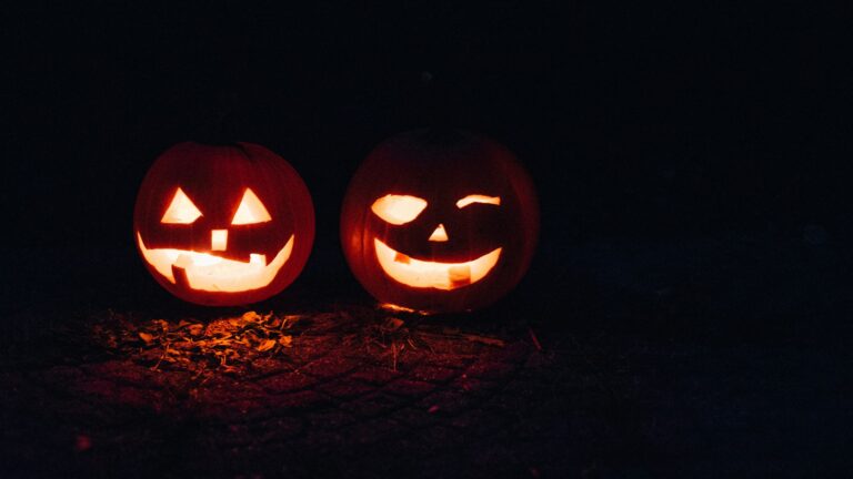 Zucca di Halloween in America per studenti internazionali che vivono le tradizioni americane durante l’anno all’estero.