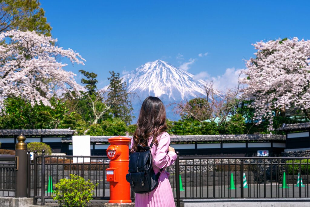 Studentessa guarda il monte Fuji fra i ciliegi in fiore.